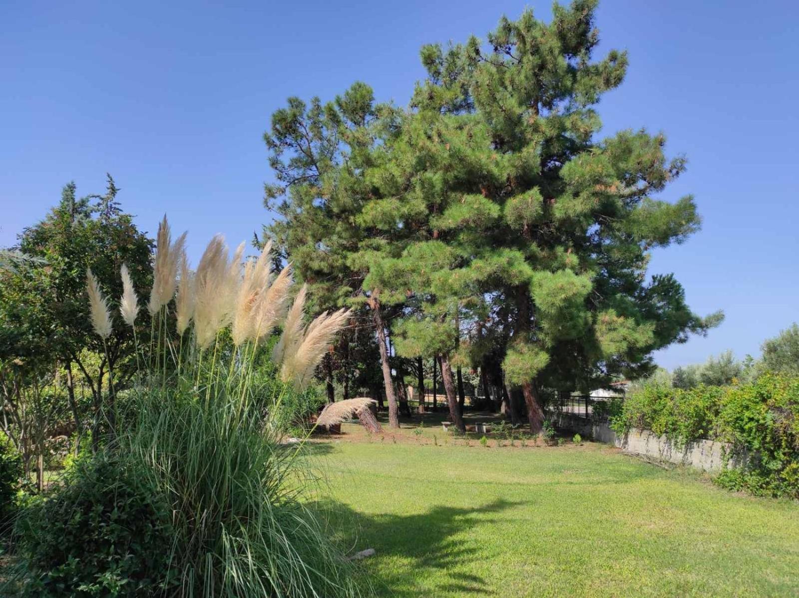 Pond And Pines, By Nice House By The Sea! エパノミ エクステリア 写真